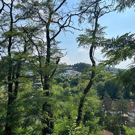 Luxuswohnung In Villa Mit Fantastischem Blick Karlsruhe Extérieur photo